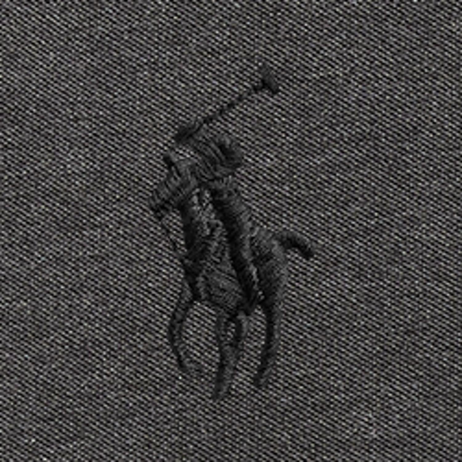 Polo Ralph Lauren Featherweight Mesh Shirt Skjorte Mørkegrå